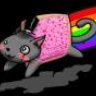 CrazyNyanCat